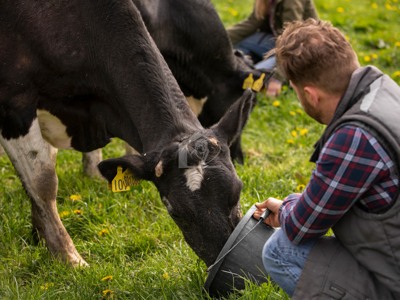 Azienda agricola in vendita a Fidenza campagna