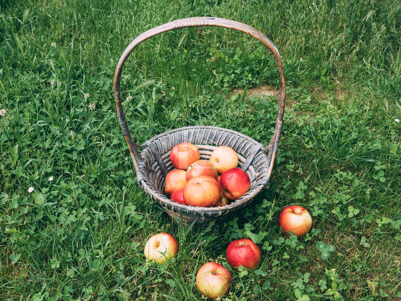 Azienda agricola in vendita a Fidenza