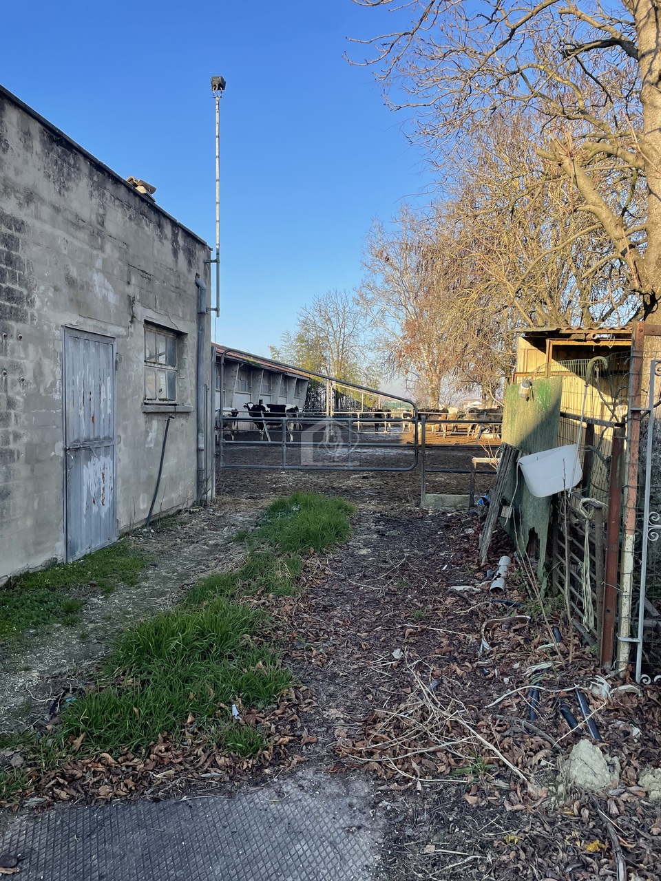 Azienda agricola in vendita a Luzzara frazione