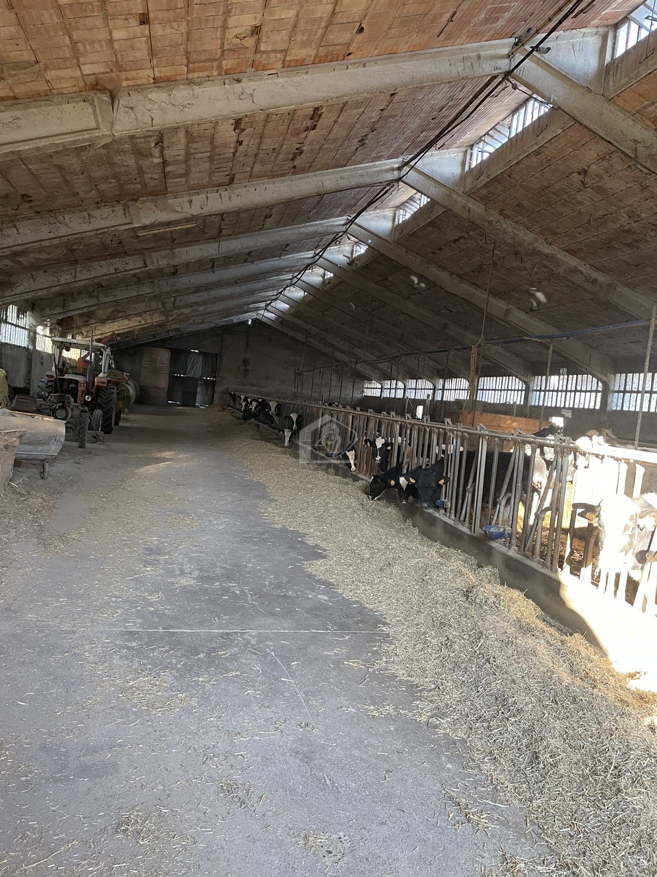 Azienda agricola in vendita a Luzzara frazione