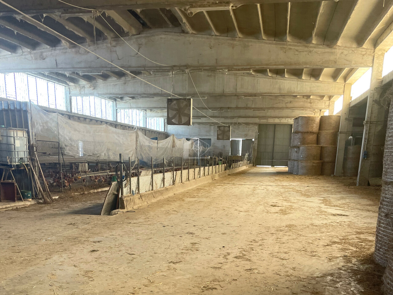 Azienda agricola in vendita a Luzzara