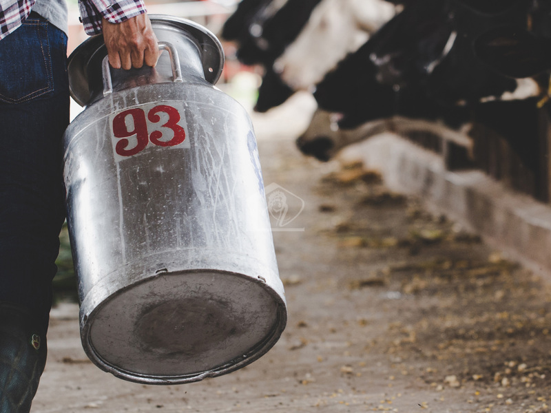 Azienda agricola in vendita a Luzzara campagna