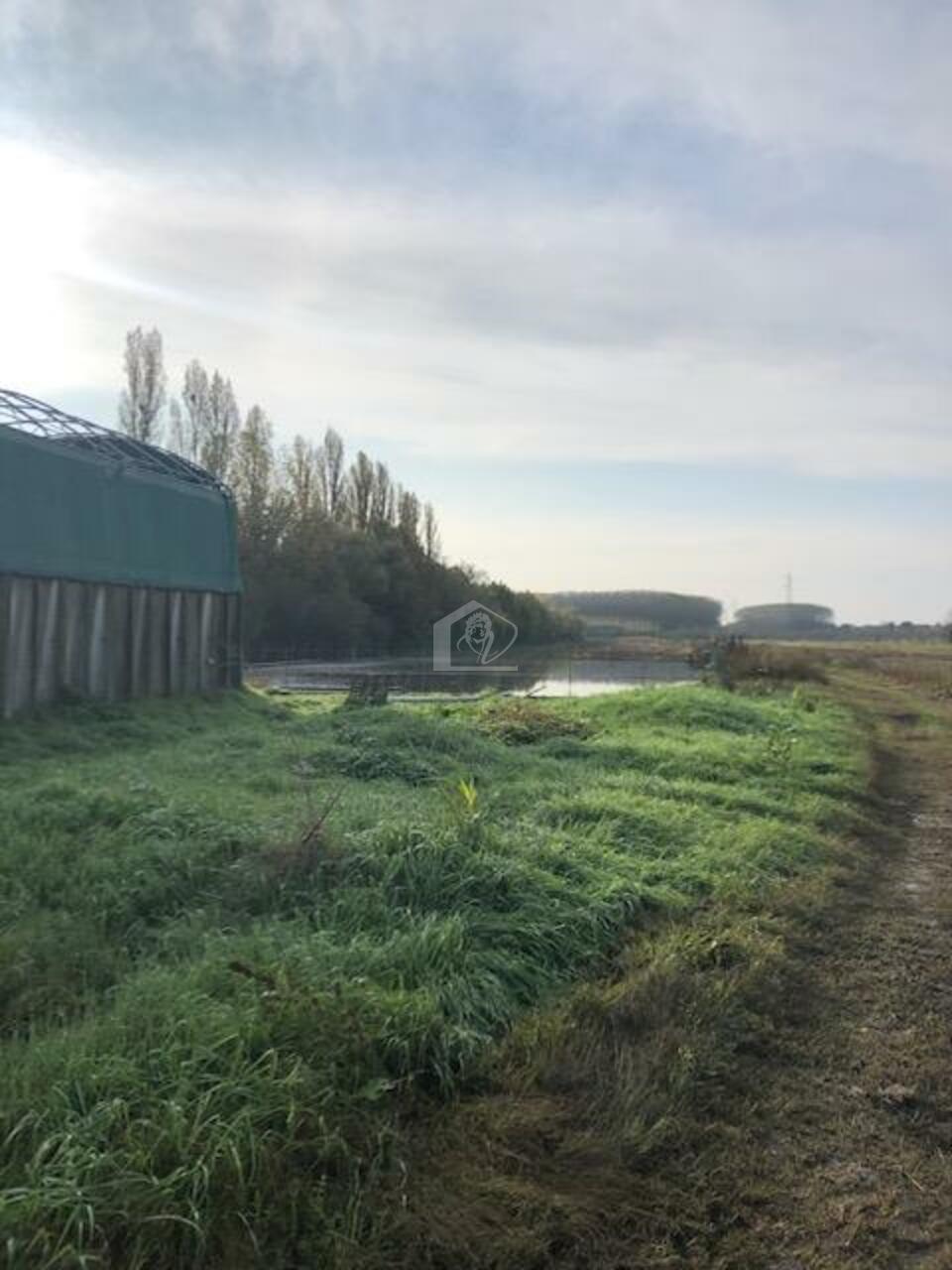 Azienda agricola in vendita a Mantova