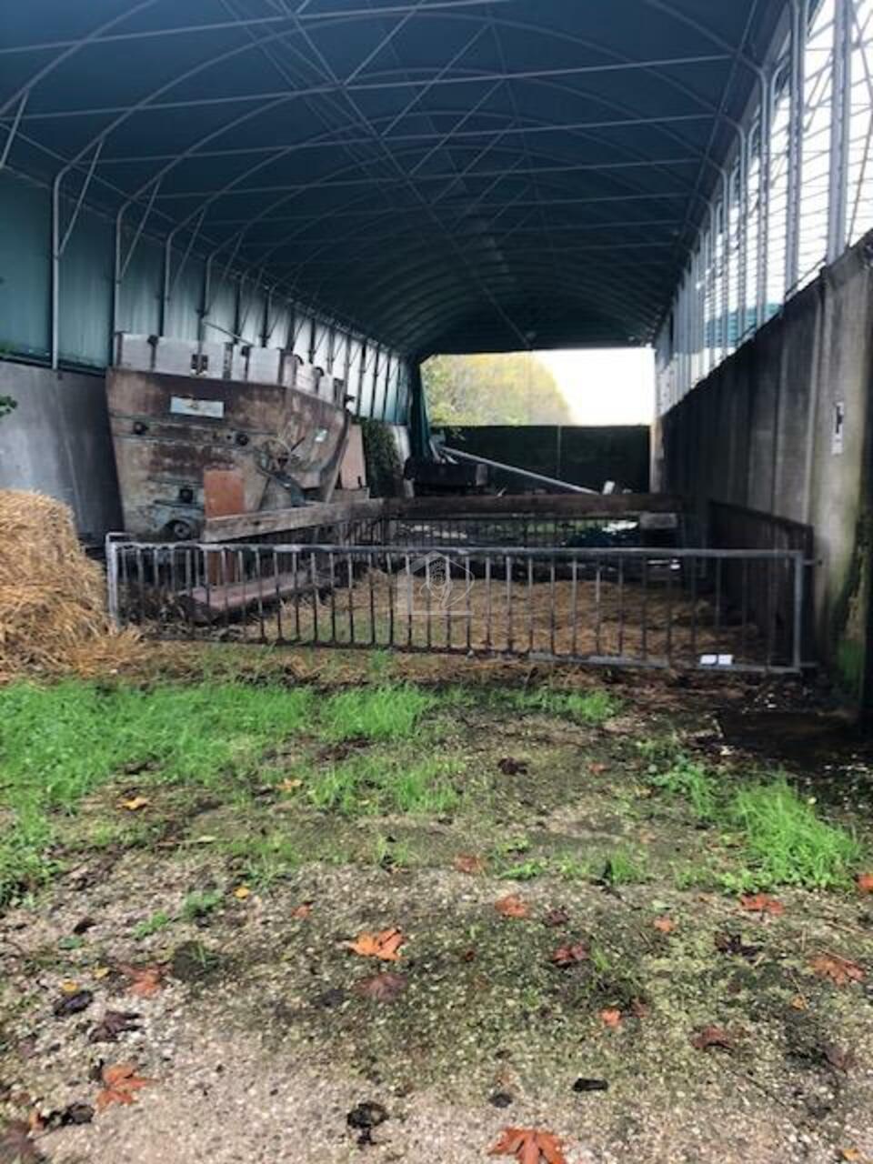 Azienda agricola in vendita a Mantova