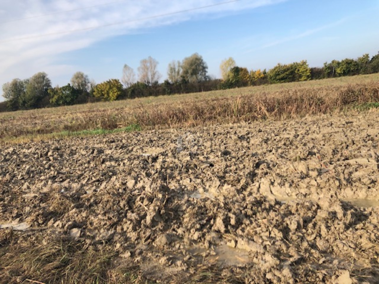 Azienda agricola in vendita a Mantova