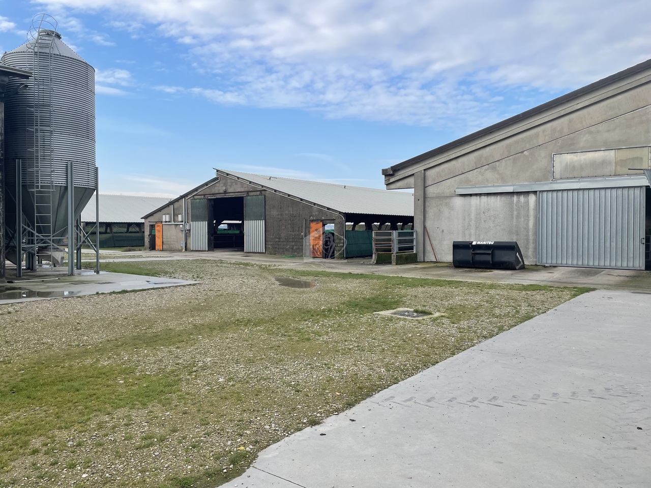 Azienda agricola in vendita a Mantova campagna