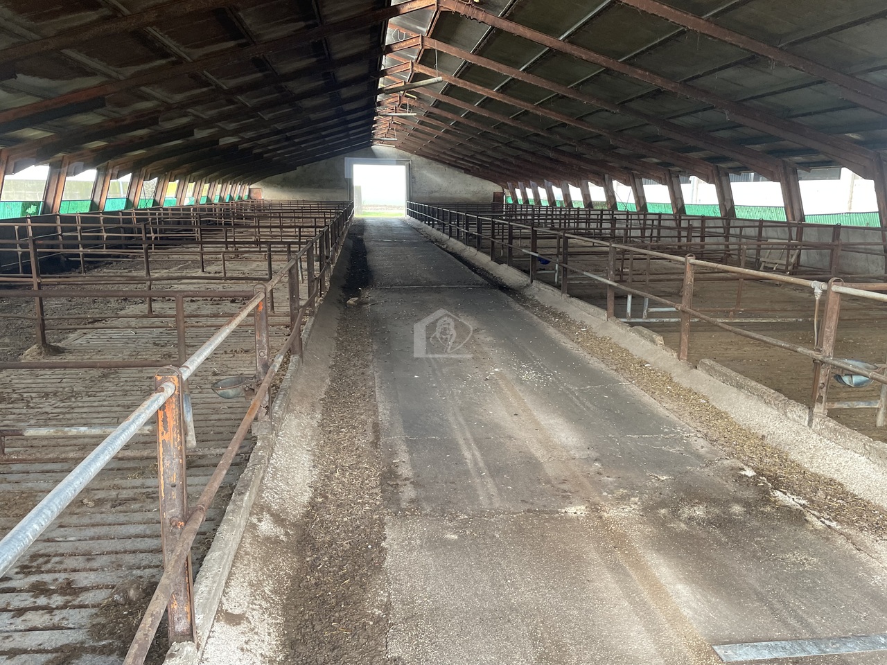 Azienda agricola in vendita a Mantova campagna