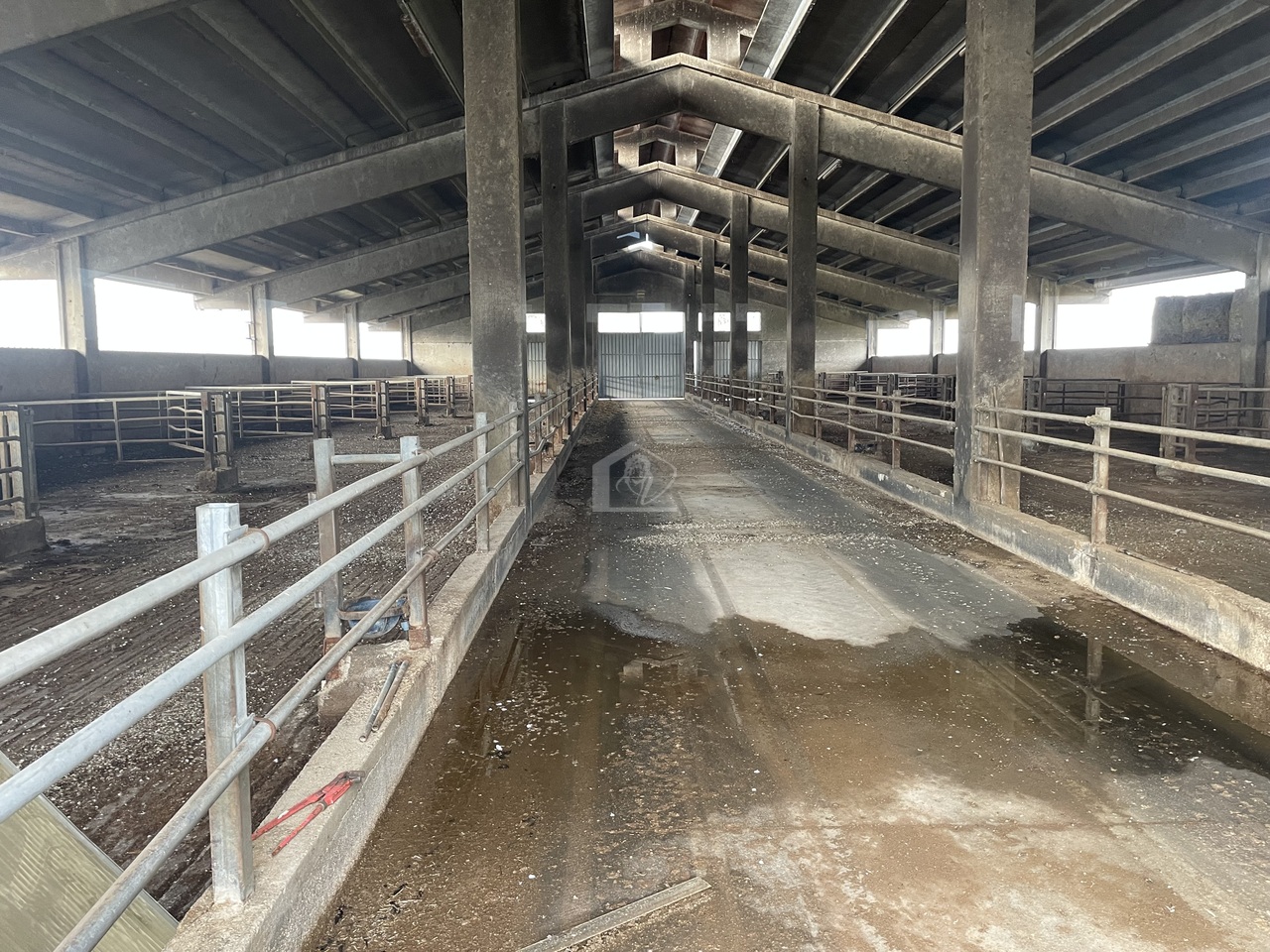 Azienda agricola in vendita a Mantova campagna