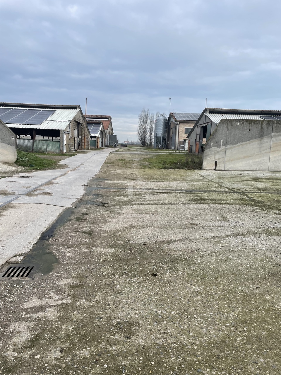 Azienda agricola in vendita a Mantova campagna