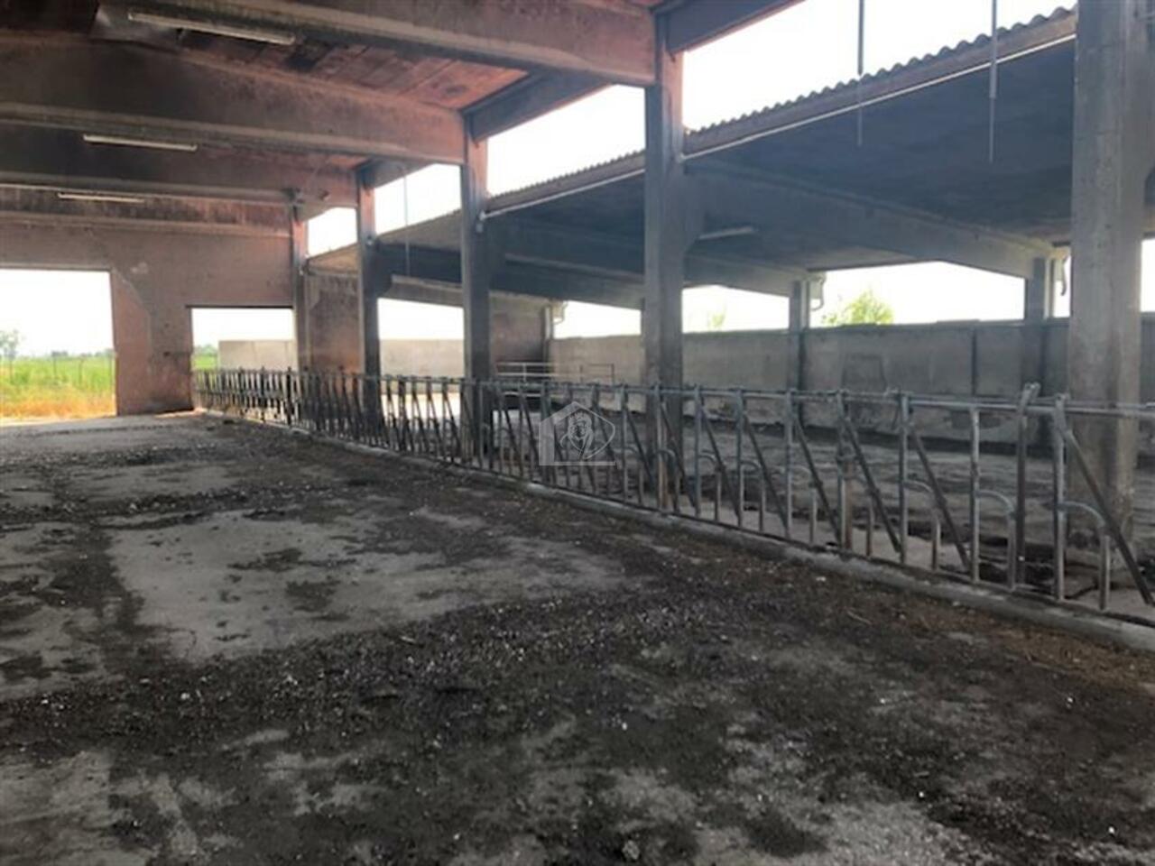 Azienda agricola in vendita a Novellara campagna