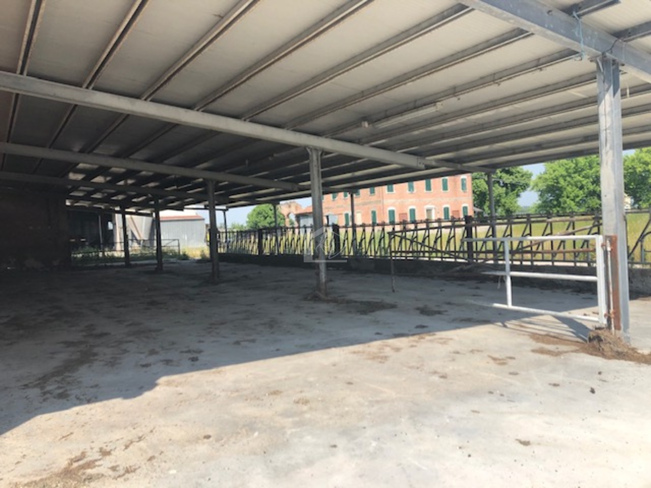 Azienda agricola in vendita a Novellara campagna