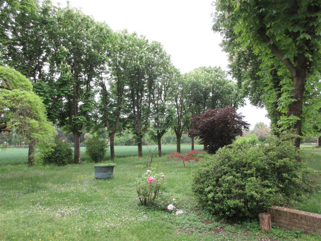 Azienda agricola in vendita a Piacenza pianura a ridosso delle colline