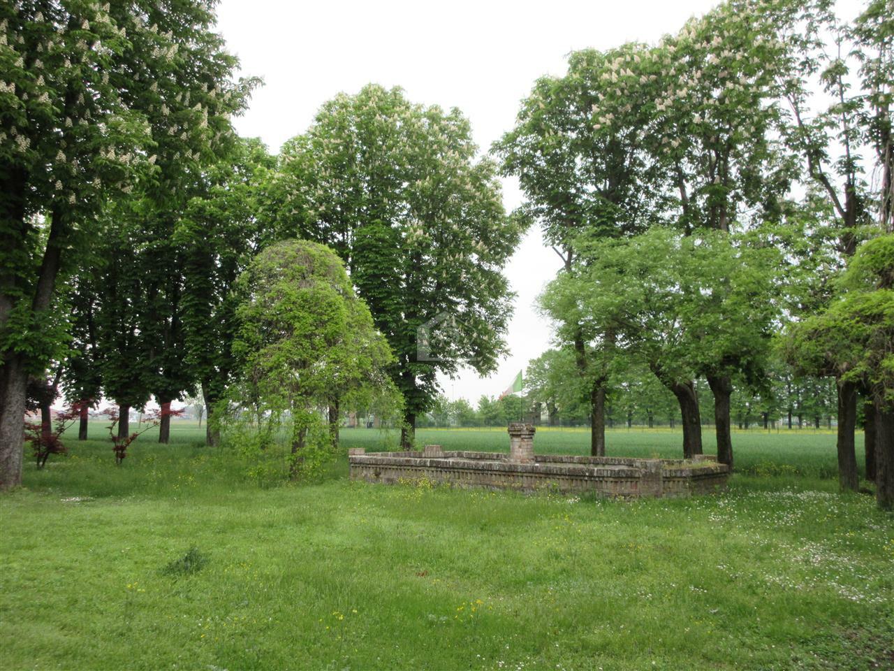 Azienda agricola in vendita a Piacenza pianura a ridosso delle colline
