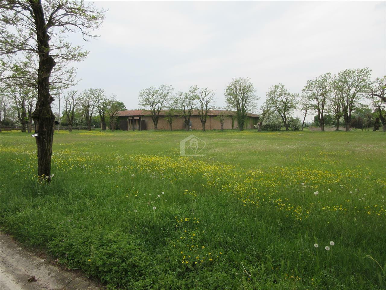 Azienda agricola in vendita a Piacenza pianura a ridosso delle colline