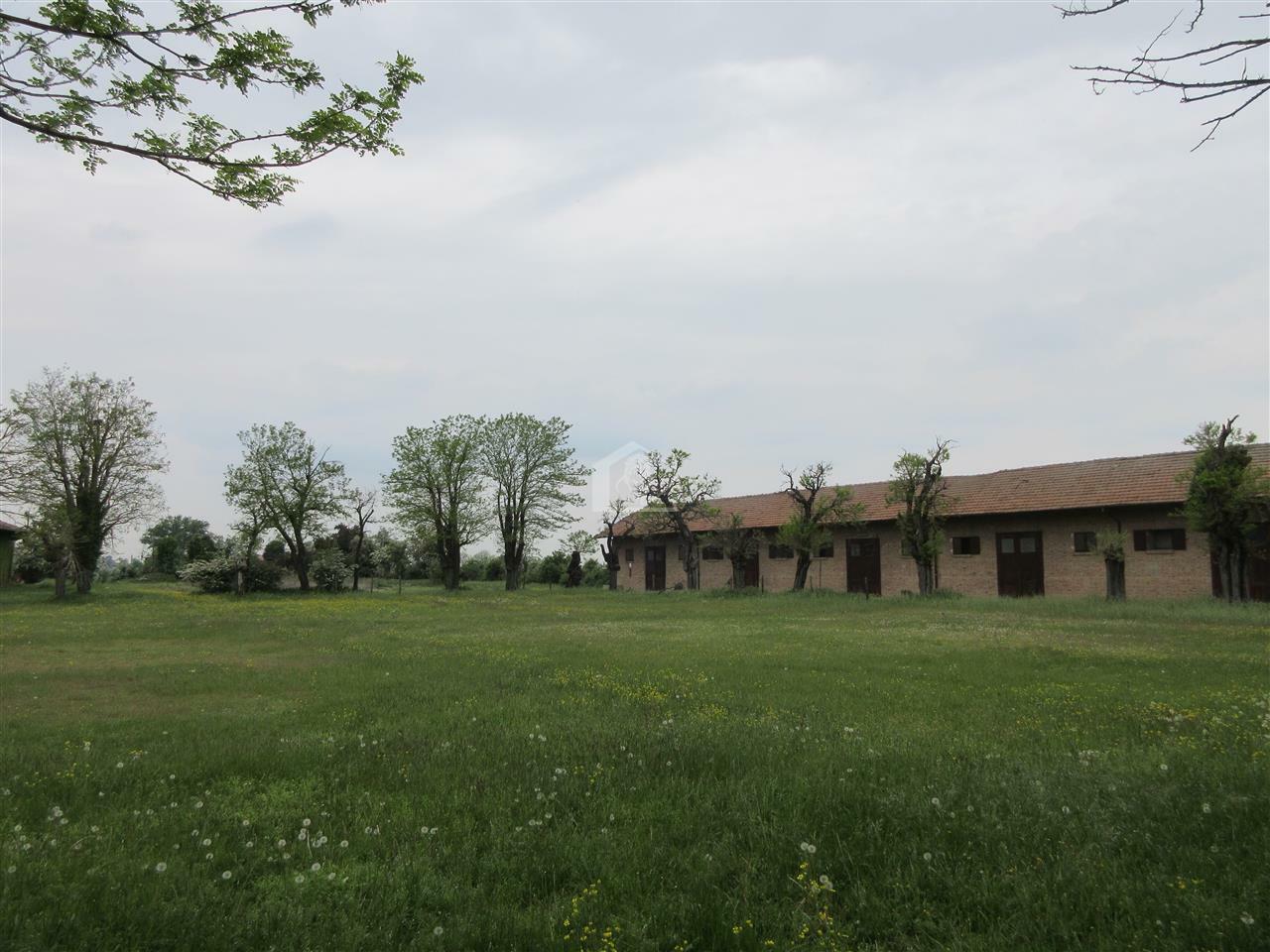 Azienda agricola in vendita a Piacenza pianura a ridosso delle colline