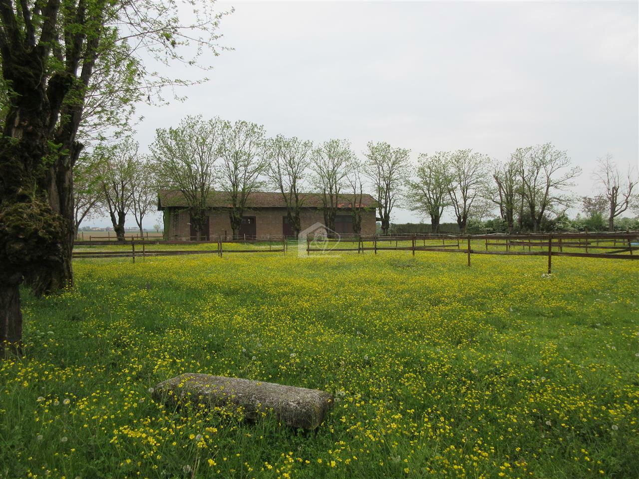 Azienda agricola in vendita a Piacenza pianura a ridosso delle colline