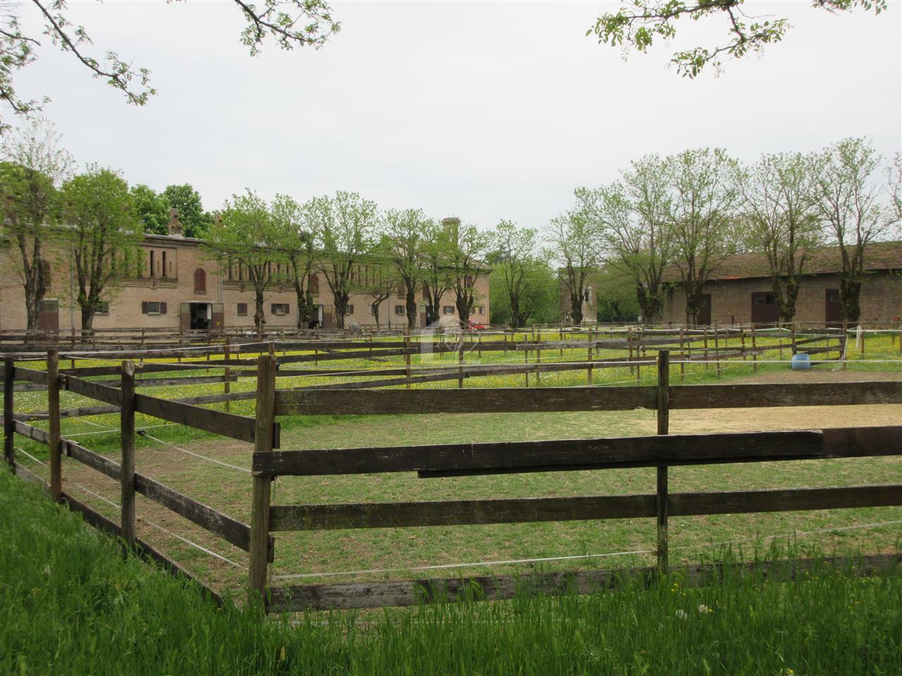 Azienda agricola in vendita a Piacenza pianura a ridosso delle colline