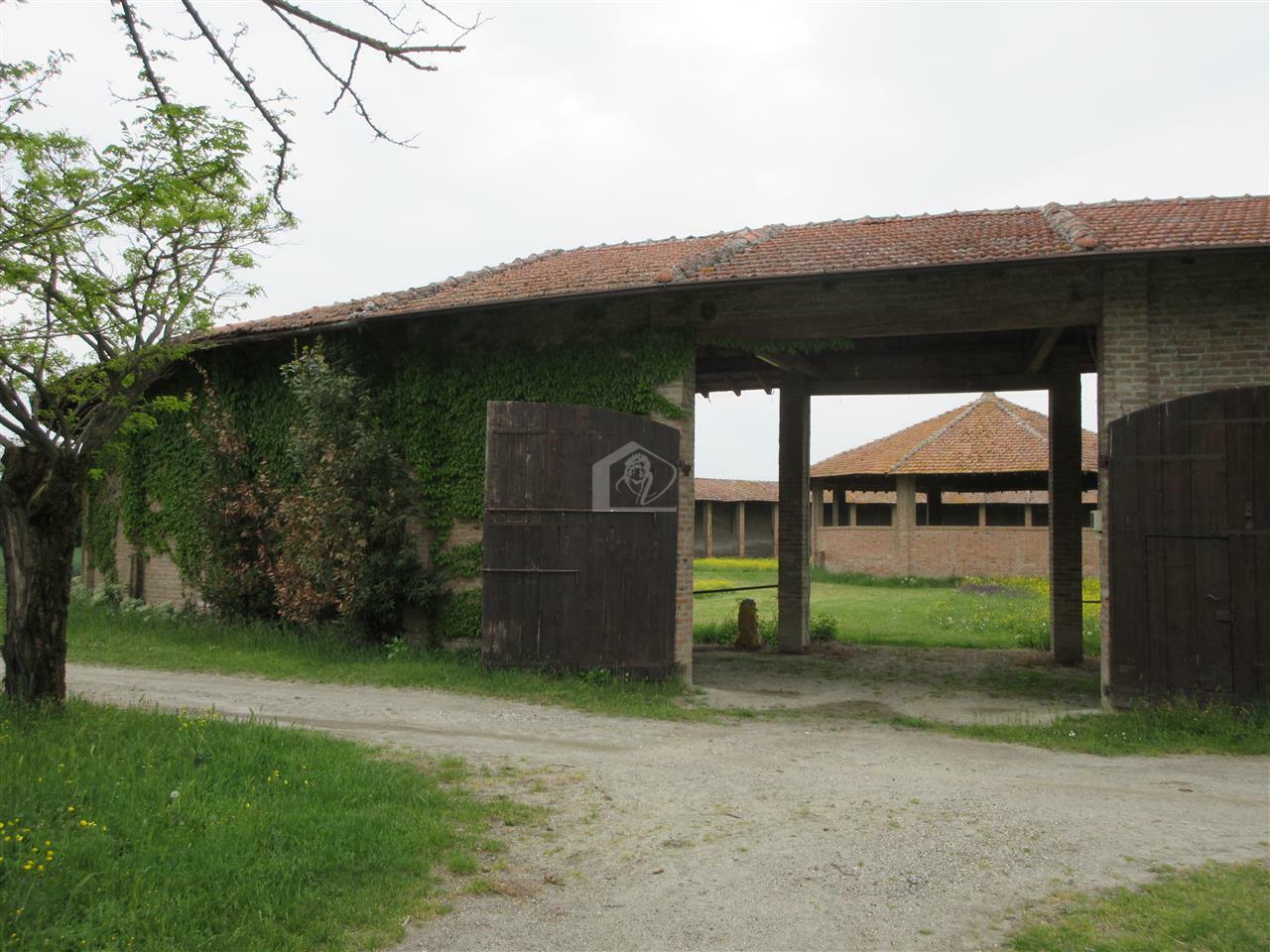Azienda agricola in vendita a Piacenza pianura a ridosso delle colline