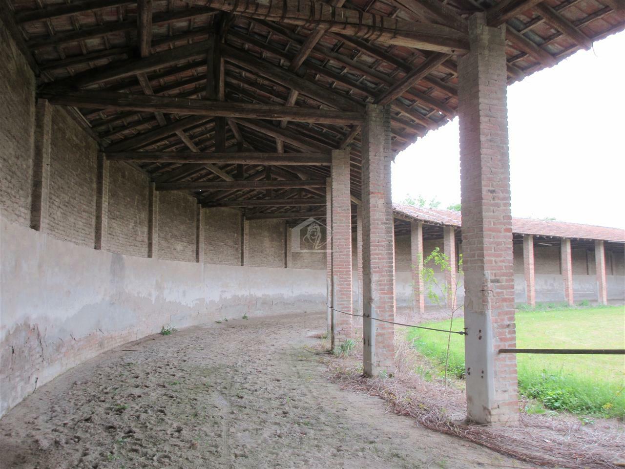 Azienda agricola in vendita a Piacenza pianura a ridosso delle colline