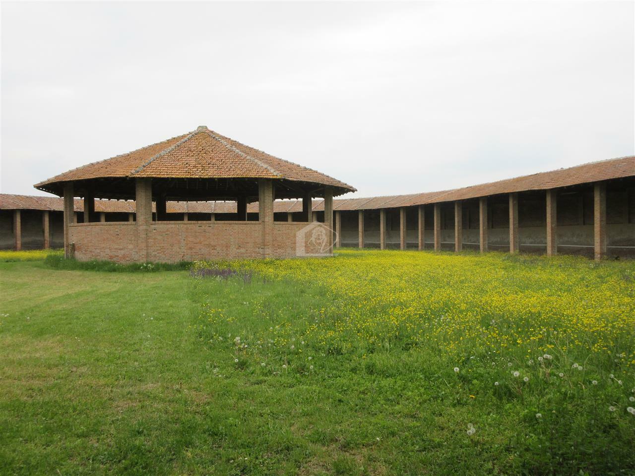 Azienda agricola in vendita a Piacenza pianura a ridosso delle colline