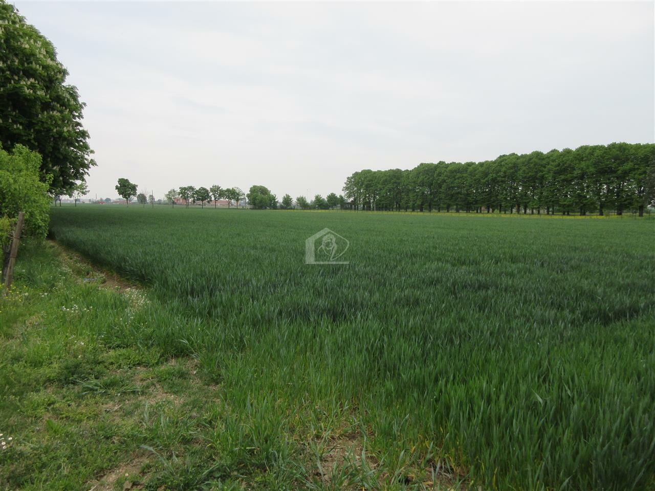 Azienda agricola in vendita a Piacenza pianura a ridosso delle colline