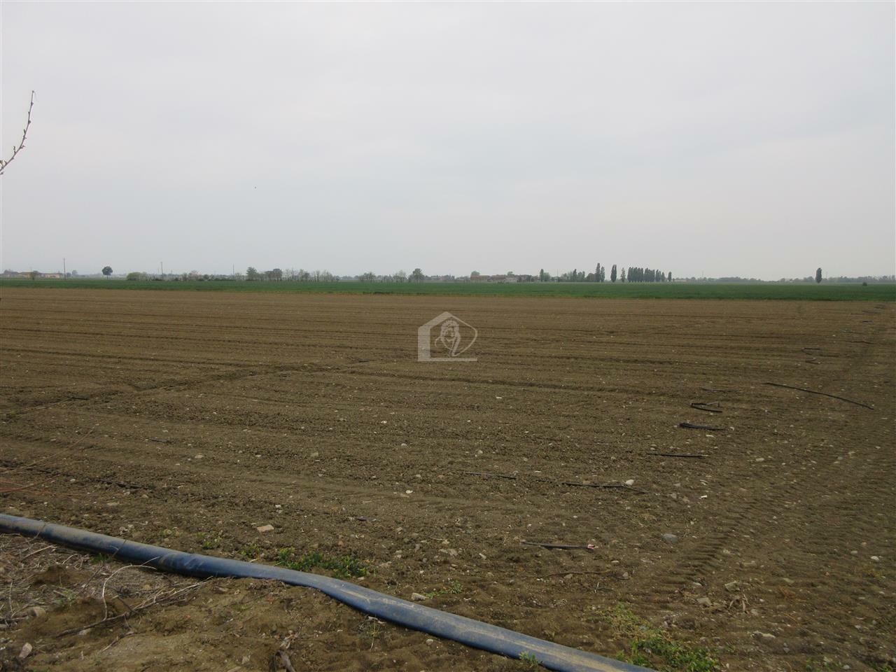 Azienda agricola in vendita a Piacenza pianura a ridosso delle colline