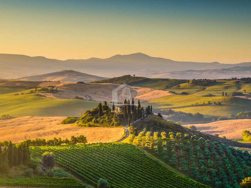 Azienda agricola in vendita a Salsomaggiore Terme collina