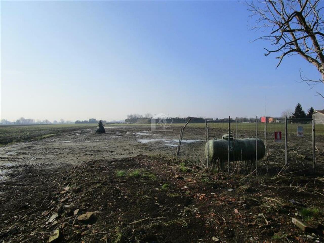 Terreno agricolo in vendita a Gonzaga Bondeno